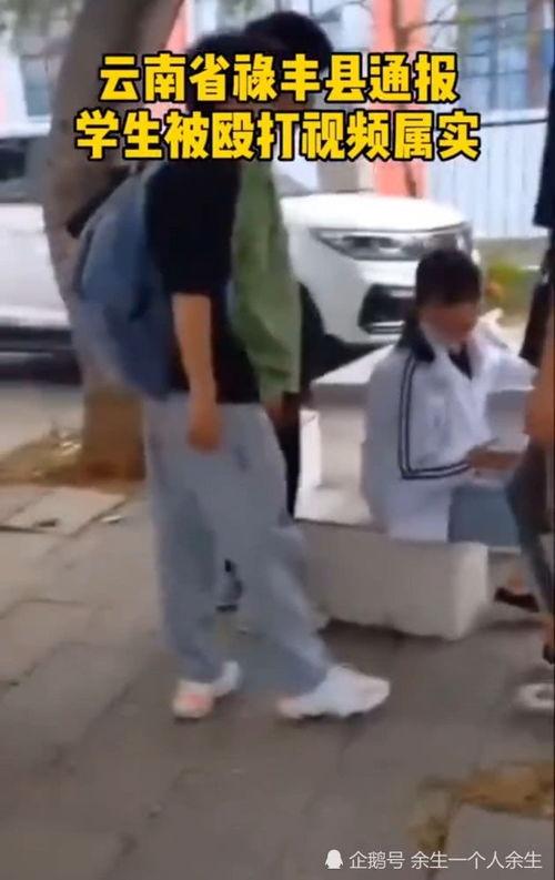 学生被打视频,学生被打视频引发社会关注