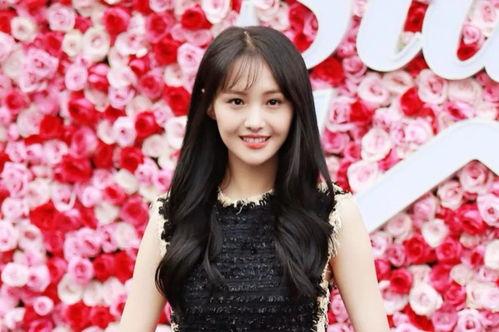 娱乐圈真实爆料郑爽,娱乐圈真相与争议的交织